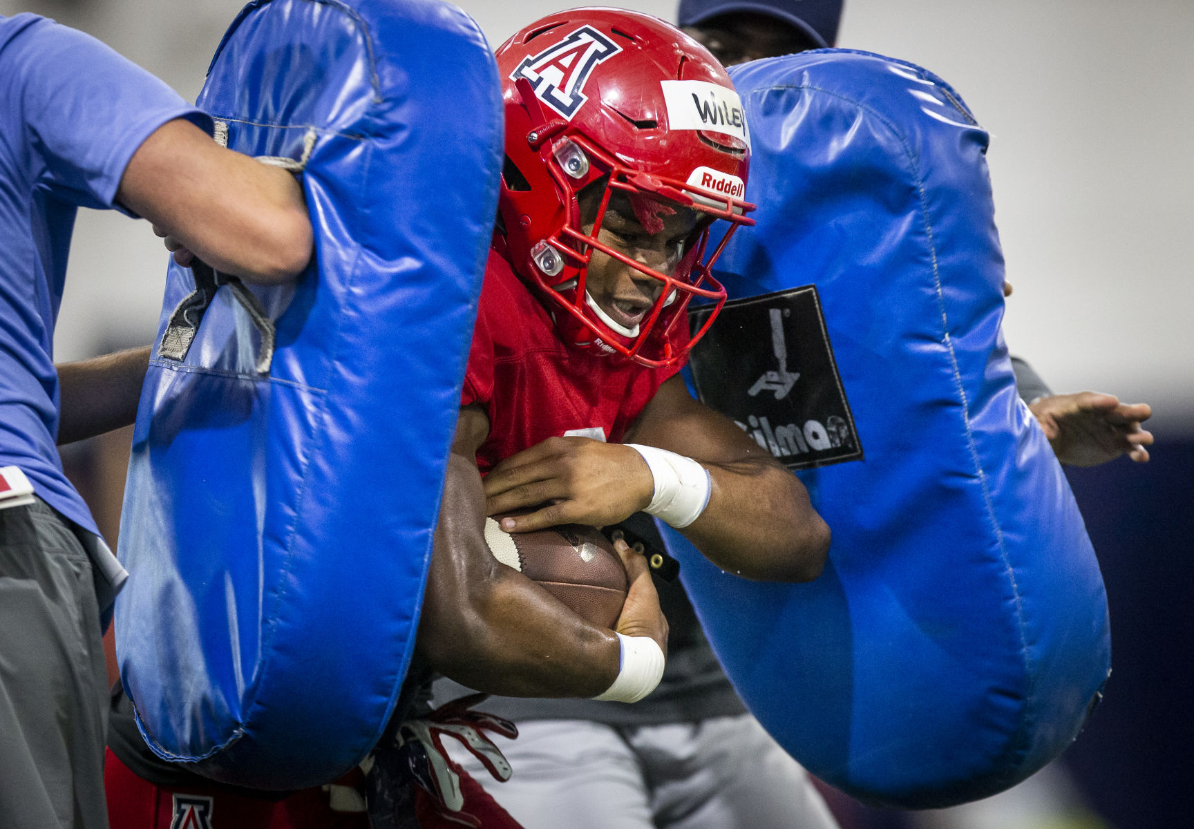 Arizona Wildcats pre-season